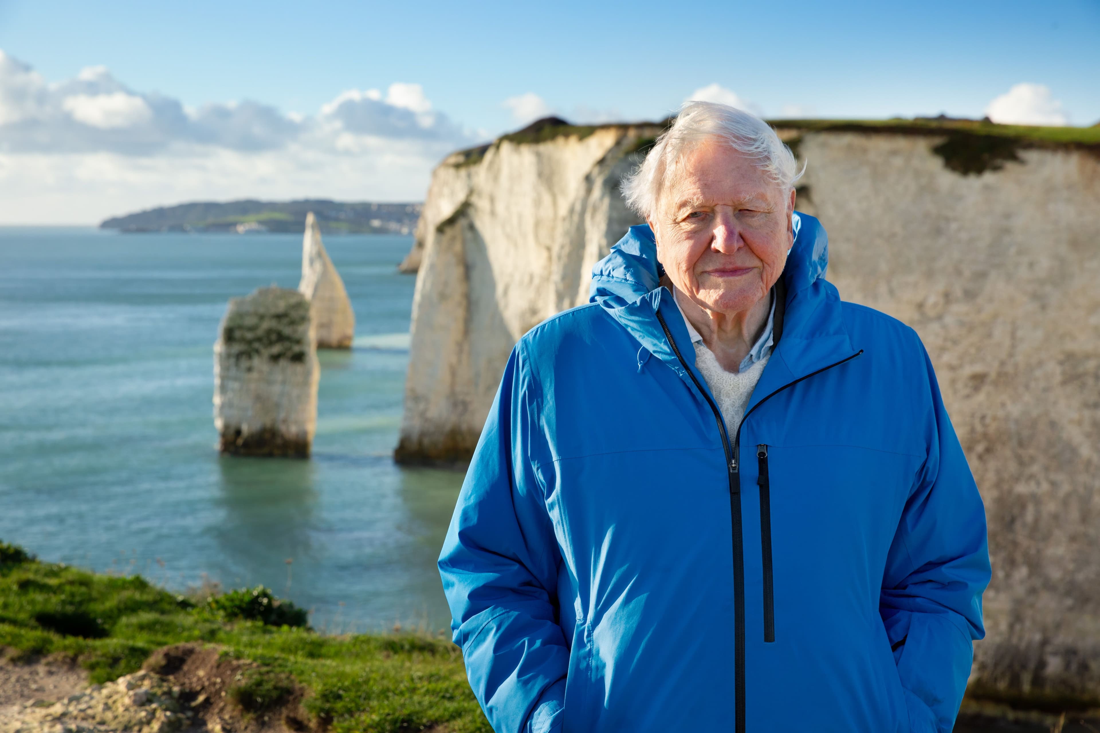 Ocean with David Attenborough, National Geographic, Disney+, MCPR, Mark Collins PR, National Geographic PR agency, celebrity PR, entertainment PR, Media Brands PR, London Entertainment PR agency